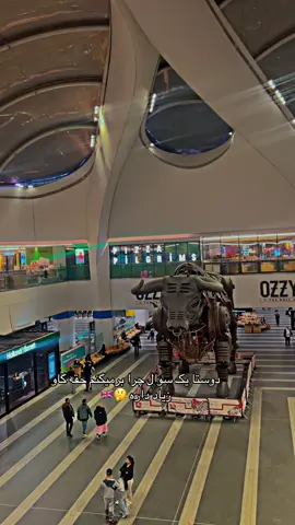 چرا جقه گاو زیاد داره برمینگم 🤔🇬🇧جواب بتین برمیگنمی ها 🤣