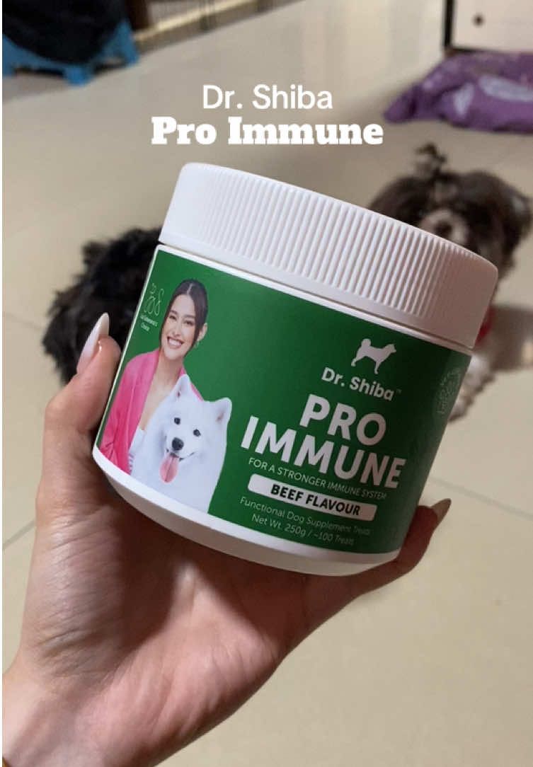 Strong immunity starts with a strong bite. 🥩✨ Give your fur baby the goodness of Dr. Shiba Pro Immune.  #drshiba #proimmune #dog #treats #fyp 