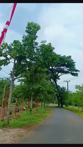 #duniayangterlupa #noah 