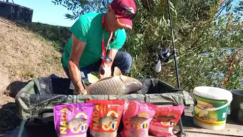 #fish #fishing #hobby #fishinglife #chill 