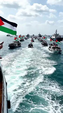 FREE FREE PALESTINE ✊🏻🇵🇸 #sumudflotila #freepalestin #freegaza #fyp #supply 