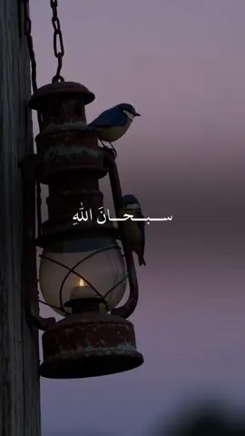 🖤🤲🏻#run4ky #الله 