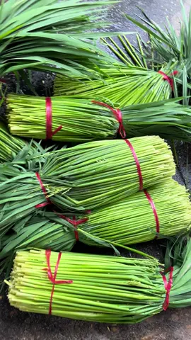 Đòng đòng tươi mới về mỗi ngày 😍😍#dongam #dongdong 