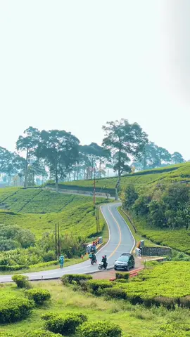 ciwideyy dinginnya 🥶#fyp 