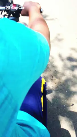 කනට මී පැනී 😮‍💨🐝 #capcut #viral #trending #hornet#fyp 