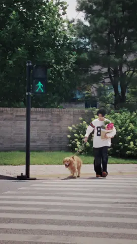[EN-MEP] MEP 때문에 제이크 가슴이 뛰어! 나 왜 이래? [EN-MEP] MEP makes JAKE’s heart race! What’s happening to me? #JAKE #ENHYPEN #MEP #Samyang #Dog
