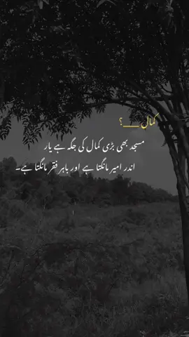 Reality 🥺💔  . . . #viralvideo #fyp #trending #poetry #100k 