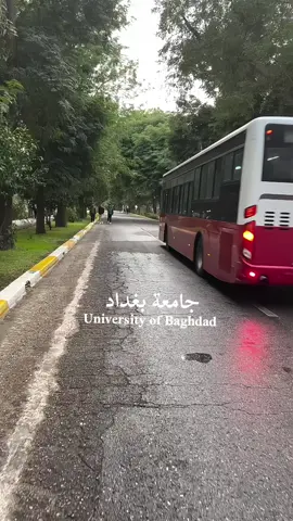 University of Baghdad🇮🇶🥹 #university #baghdad #viral #fyp #foryou 