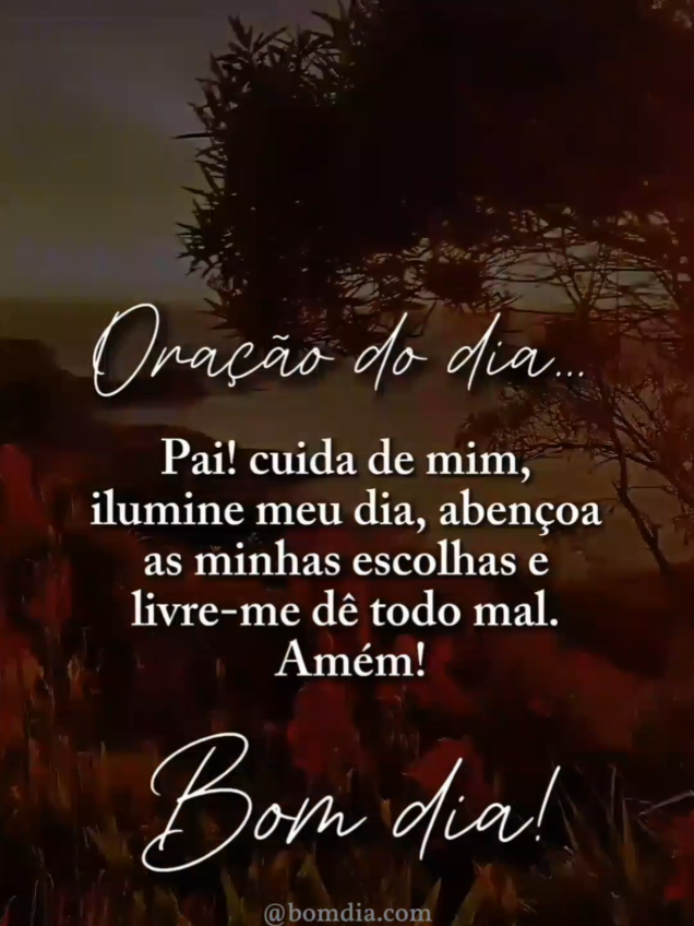 #bomdia #motivacional #mensagemdebomdia #reflexão #gratidão 