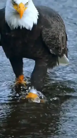 #تونسية🇹🇳🇹🇳 