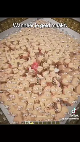 Niet serieus nemen 😅 #voorjou #Fyp #shorts #memes #Minecraft 