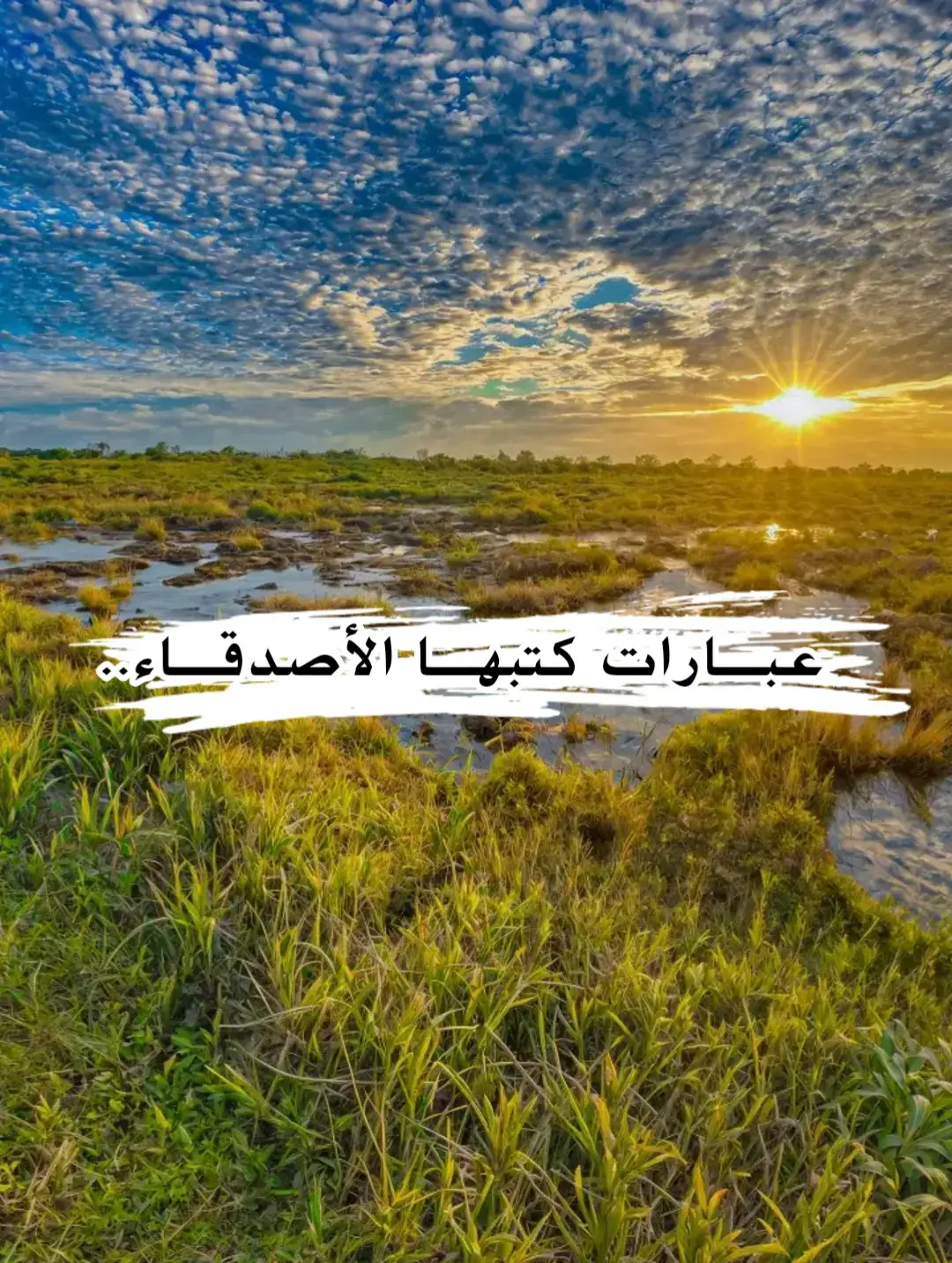 #اقتباسات #خواطر #عباراتكم_الفخمه📿📌 #عبارات_جميلة_وقويه😉🖤 #fyp 