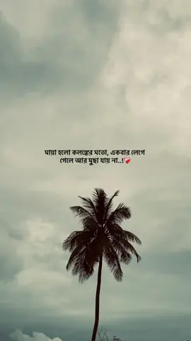 #foryoupage #viraltiktokvideo #trending #1millionviews 