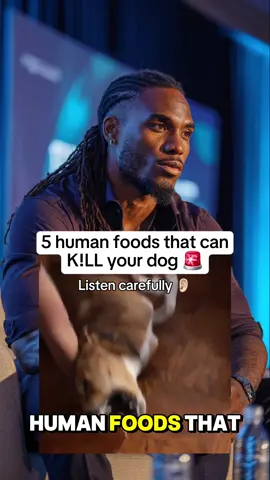Don’t ❌ give this to your dog 👆🏿☠️ #dogsofusa #healthydog #doghealth #pet #dogsoftiktok 