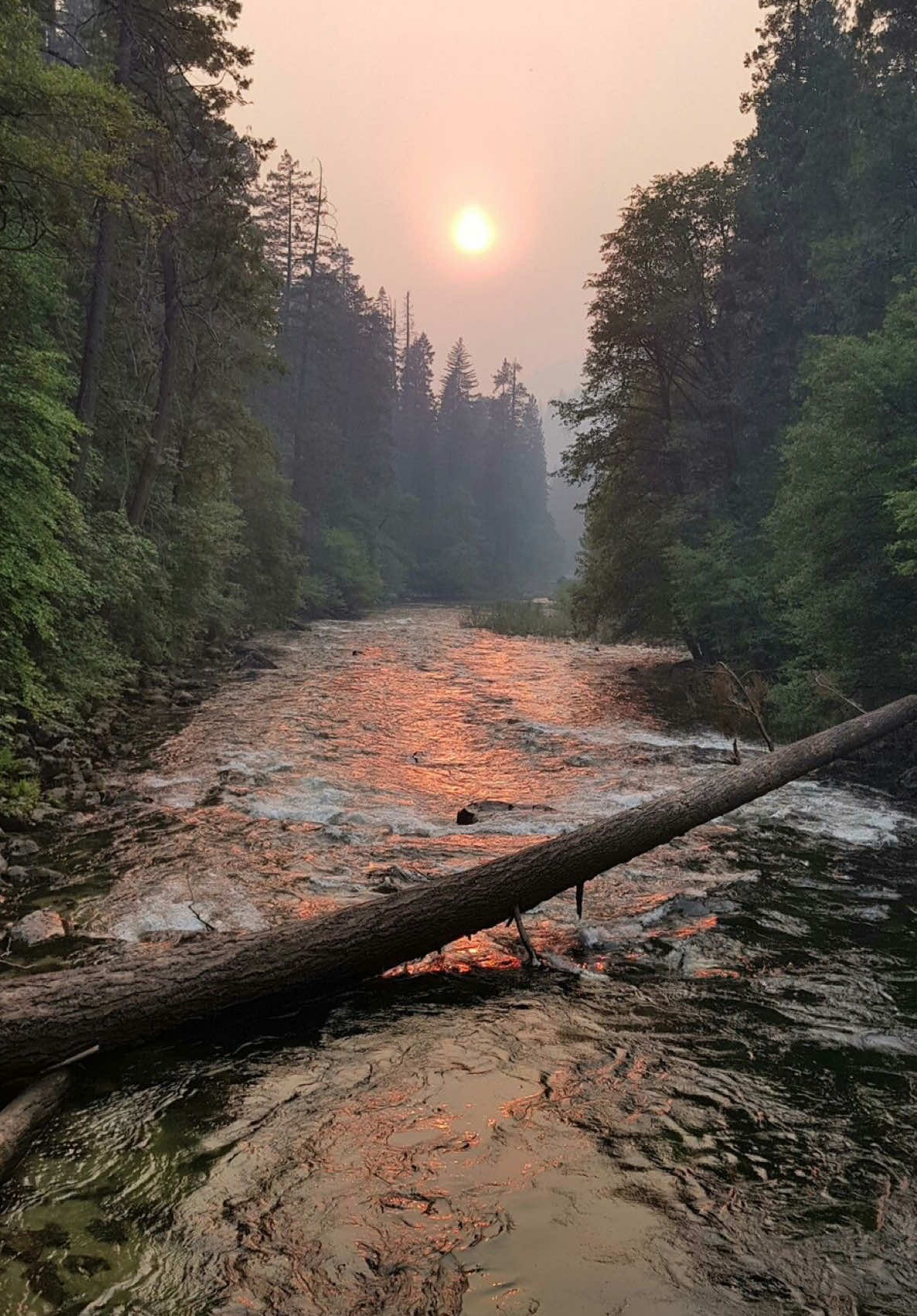 @_shah_mod #twilight #bellaswan #сумерки #белласвон #fyp 