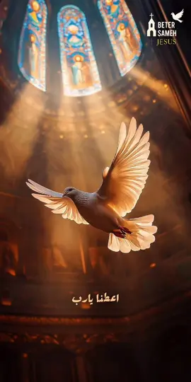 أعطنا يارب سلامك ونجّينا#يسوع_مخلصي #المسيح_هو_الله✝️🙏 #المسيح_هو_نور_العالم #ابونا_داود_لمعي #البابا_شنوده 