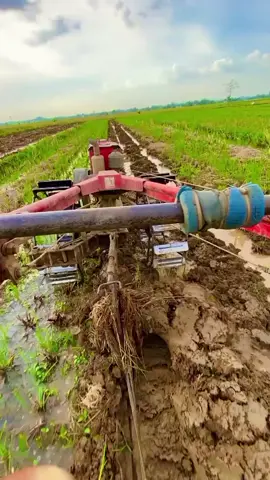 Ojo o mendong udan e panggah trabas#fyp #fypシ゚viral #kubota #lampungtimur #lampungtiktok 