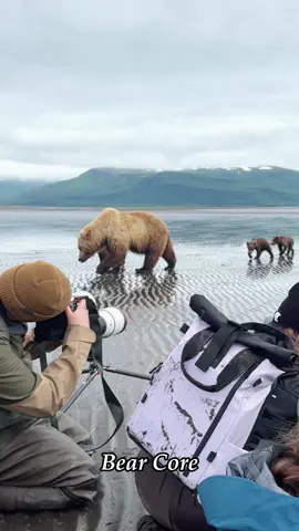 Bear Core🐻🐻#c#catc#catsc#cutecatc#catloverc