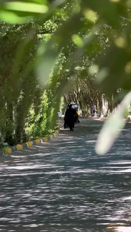 اللهُم صلِ على مُحمد والـِ مُحمد🤎. ـ ـ ـ #باسم_الكربلائي #باسم_الكربلائي  #اهل_البيت_عليهم_سلام #الامام_العباس_عليه_السلام #الامام_الحسين_عليه_سلام 