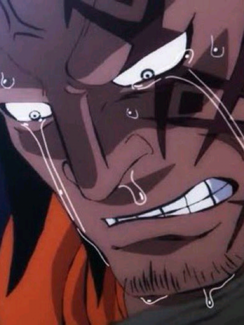 pas de One Piece... #animefyp #mangaedit #luffy #onepiece #zoro 