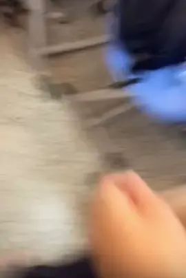 #سجن #مداومه #مالي_خلق_احط_هاشتاقات #سبحان_الله_وبحمده_سبحان_الله_العظيم #استغفرالله 