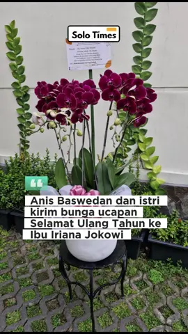 Anis Baswedan dan istri kirim bunga Anggrek berwarna ungu sebagai ucapan Selamat Ulang Tahun Ibu Iriana Jokowi.  #solotimes #kotasolo #jokowi 