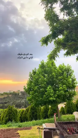 #photography #cupcut #photo #تصميم_فيديوهات🎶🎤🎬 #تصويري 