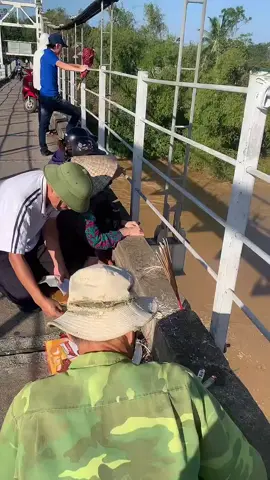 #tiktoklive #livehighlights Công tác tìm kiếm sn em trai đuôi nước trên sông lam qua xã bồi sơn Đô lương. 