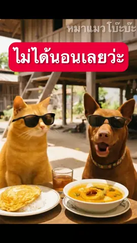บอกเพื่อน…ไปเขาค้อกะเมีย ไม่ได้นอน มันนึกว่าจัดหนักทั้งคืน ที่แท้… ไปเช้าเย็นกลับ 🤣 #fyp #ตลก #ai #หมาแมว #หมาแมวโบ๊ะบ๊ะ 