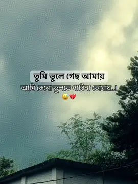 তুমি ভুলে গেছ আমায় আমি কেনো ভুলতে পারিনা তোমায়…!😅💔#tanjil12 #CapCut #foruyou #bangladesh🇧🇩 #official @TikTok Bangladesh 