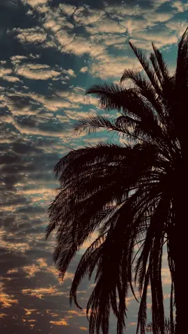 جزء1| خجلان من رجعتك ..باسم الكربلائي.             #قصايد #باسم_الكربلائي #4k #تصويري_احترافي_الاجواء👌🏻🕊😴 #fpyシ 