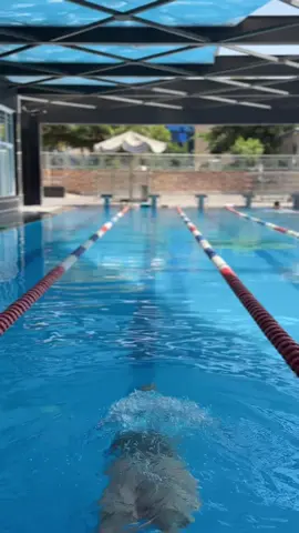 #المنصورة #سباحة🏊‍♂️ #اكسبلور #الشعب_الصيني_ماله_حل😂😂 #swimming 