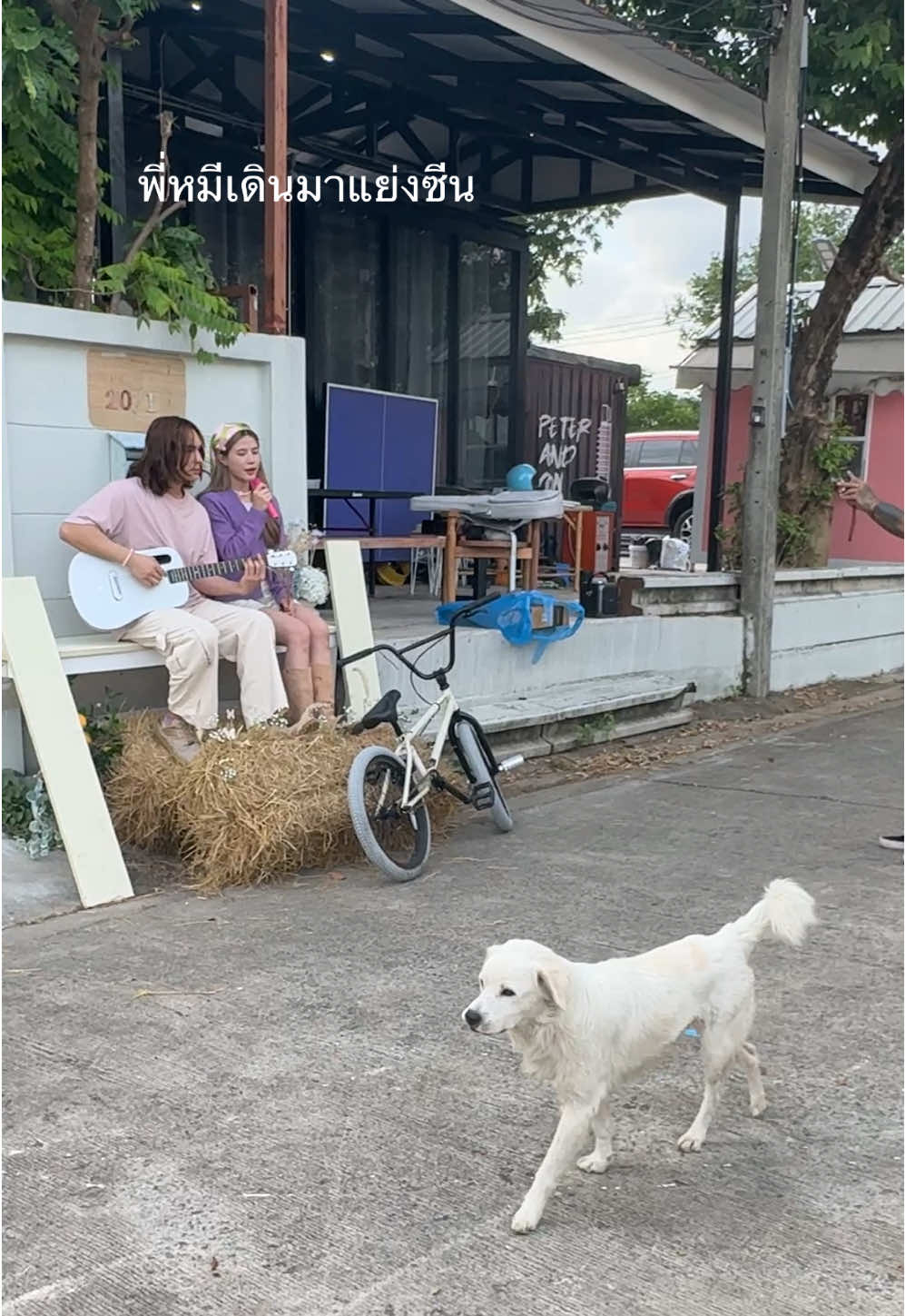 น่ารักกกก #อังคารกับเสาร์ #ชาลีแฟมิลี่ #chaliepotjes 