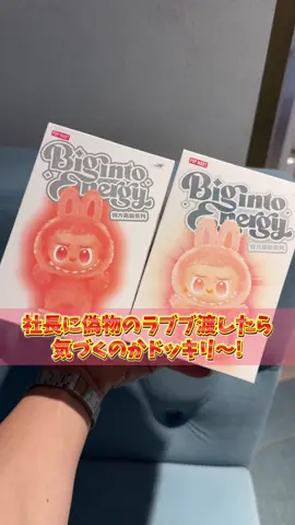 春木開にラブブでなくラフフ渡したら気づくのかドッキリ！！！