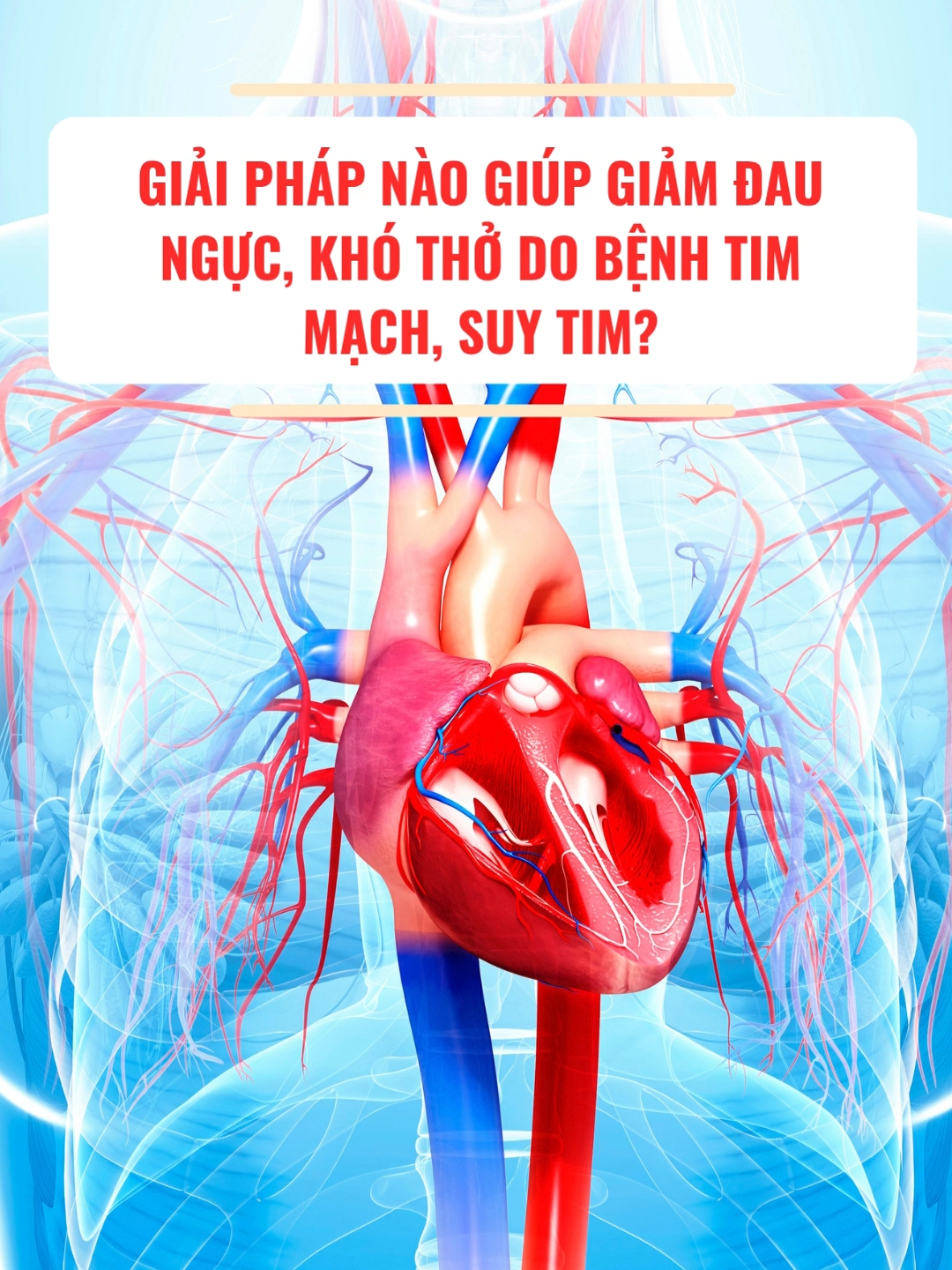 Giải pháp nào giảm đau ngực, khó thở do bệnh tim mạch, suy tim? #fyp #ichtamkhang #ichtamkhangplatinum #suckhoe #thieumaucotim #nhiptimnhanh #daunguc #suytim #songkhoe #dotquy #tacmachvanh #metmoi #ngaytimmachthegioi #chiase #hepvantim