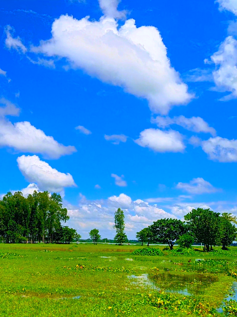 তোমাকে খুজে পাই ঐ নীল আকাশে