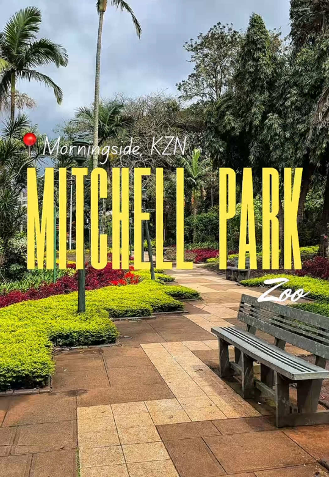 Affordable kids holiday activity.  An oldie but a goodie. When was the last time you visited Mitchell Park Zoo.  #mitchellpark #mitchellpark #kidsactivities #thingstodowithkids  #creatorsearchinsights 