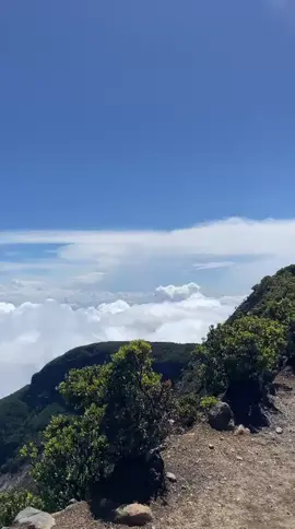 cuaca gunung gede 1 Oktober 2025🫶✨ #mountaindate #gedepangrango #alunalunsuryakencana #pendaki #pendakigunung 