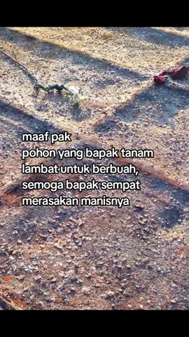 #pejuangrupiah #foryou #foryoupage 