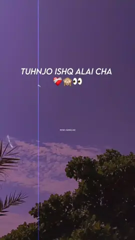 Tuhnjo Ishq Alai Cha Hundo ❤️‍🩹🫀 Like follow this account and my video repost@fabiha #naveed_1120 #newsindhistatus #fypシ゚viral🖤tiktok #unfrezzmyaccount #sindhisong 