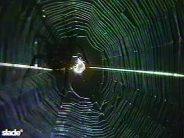 dead wrong… #fyp #foryou #yf23 #edit #aviation 