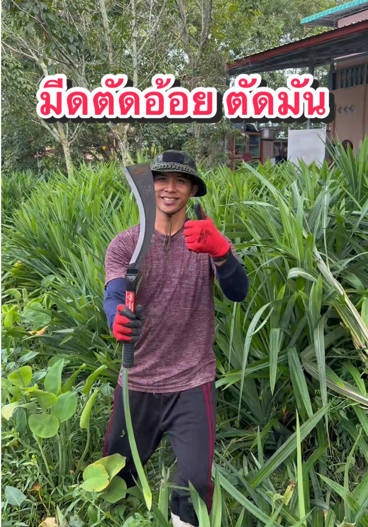 มีดตัดอ้อยตราเพชร มีดตัดอ้อยด้ามยาว ใช้ตัดมันได้ หรือตัดแต่งกิ่งทั่วไป ในไร่ในสวน #มีดตัดอ้อย #มีดตัดอ้อยตราเพชร #มีดตัดอ้อยพร้อมด้าม #มีดตัดมัน 