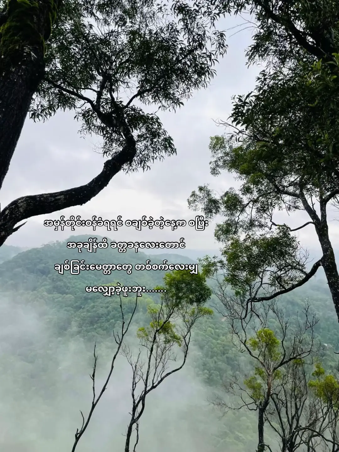 #fypviralシ #foryou #crdtext💤 #crd_to_owner_with_respect 