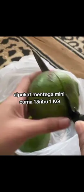 #alpukat #alpukatmentega #alpukat🥑 