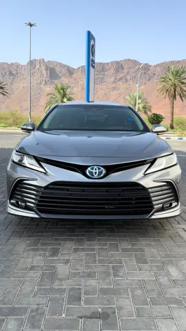 #السعودية #كمورة #تيتانيوم #لايك #هايبرد 