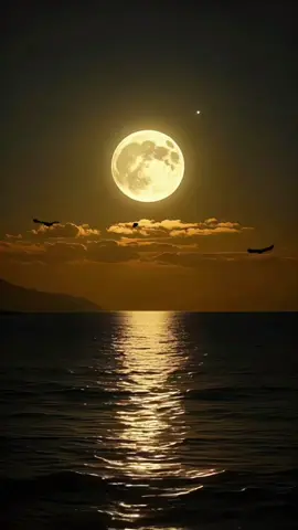 كبرنا ولم تعد تغرينا الأشياء كما كانت 🌊🌊🌴🕊💎✨️🫡#من_روائع_الكلام #خواطر #كلام_للعقول_الراقيه #كلام_من_القلب #القلوب_الطيبه 