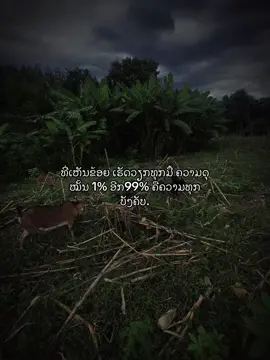 #1 #story #Jingjo 