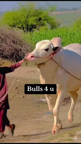 #onthisday #fyp #viral_video #creatorsearchinsights 