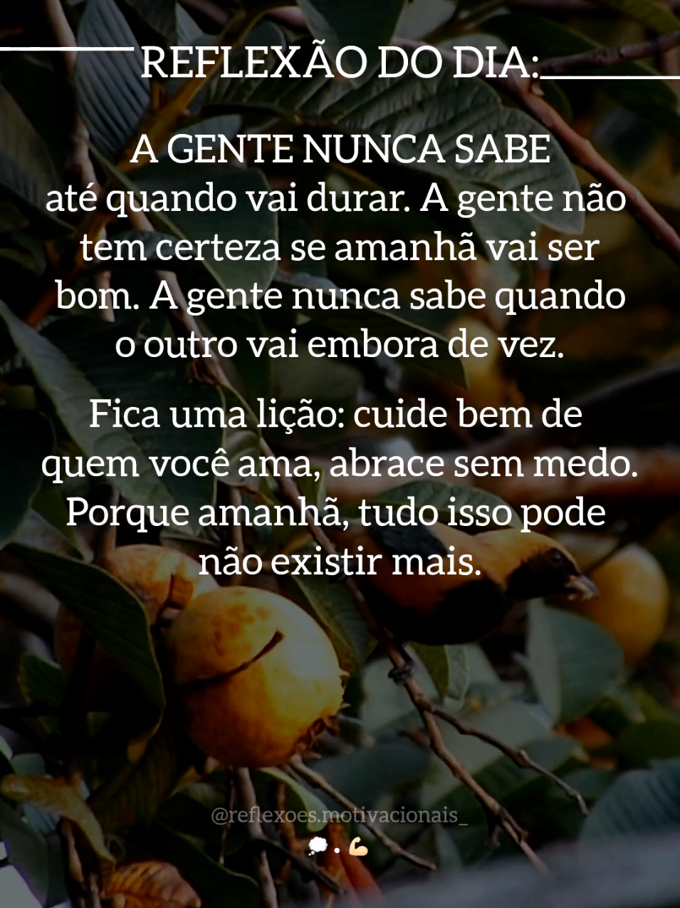 REFLEXÃO DO DIA... 💭 #creatorsearchinsights #reflexaododia #reflexão #motivacao #frasesmotivadoras 