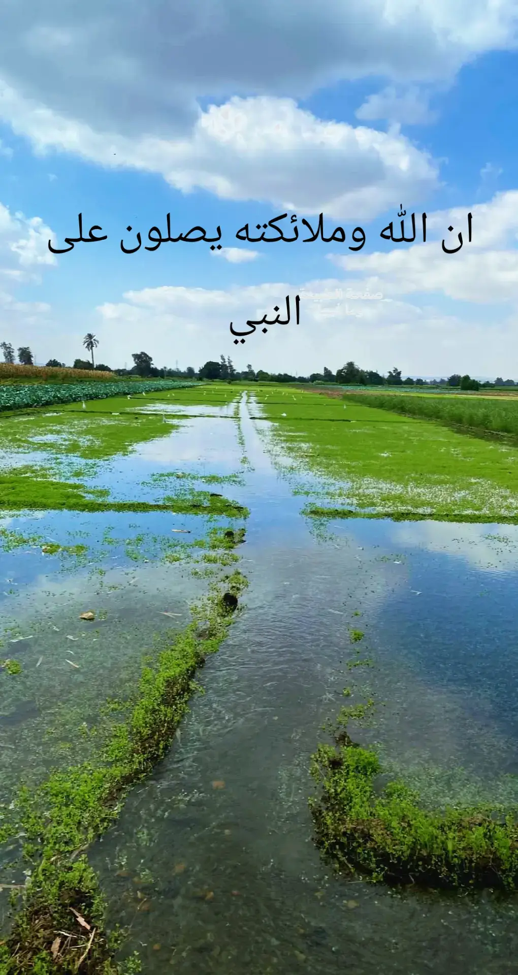 #ان الله وملائكته يصلون على النبي 